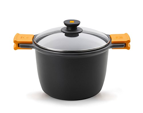 Braisogona EFFICIENT - Tall stew Pot with Glass lid and Silicon Handles, 28 cm