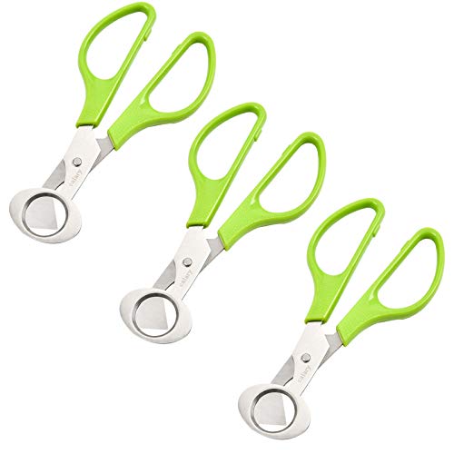 3Pcs Quail Egg Cutter Scissors Kitchen Egg Shears Tool (Green)