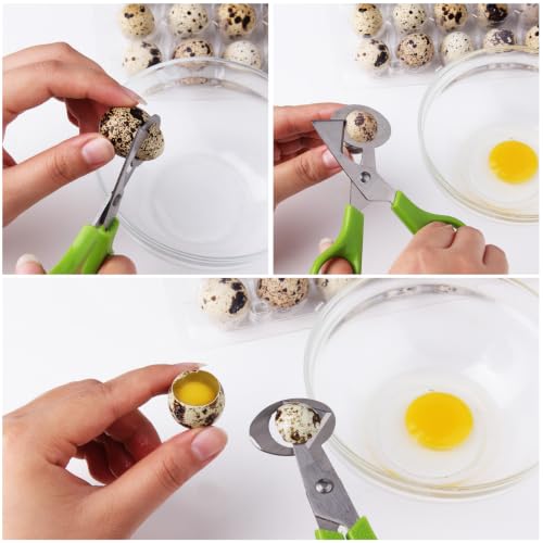 3Pcs Quail Egg Cutter Scissors Kitchen Egg Shears Tool (Green) - view 5