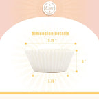 qiqee 600 Count Large Size Cupcake Liners White Muffin Liners Food Grade Jumbo Baking Cups Paper No Smells（Large Size）
