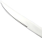 5-Piece 18/10 Stainless Steel Serrated Steak Knife Flatware Set, Service for 1