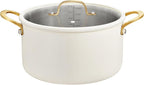 BEZIA 10 Quart Stainless Steel Stock Pot, Large Soup Pot, Casserole with Lid, Stockpot with Visible Lid, Silicone Edging, Sturdy & Double Handle, Induction Cooking Pot for Pasta, Soup, Spaghetti