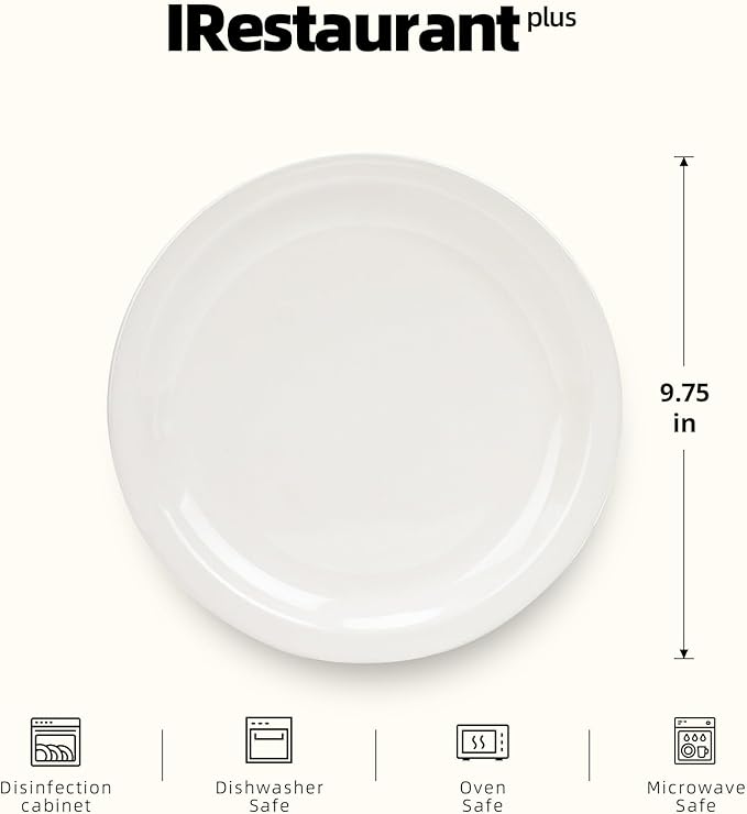 Stoneware Narrow Rim Commercial Grade Dinnerware America White, Plate 9 5/8", Case of 24