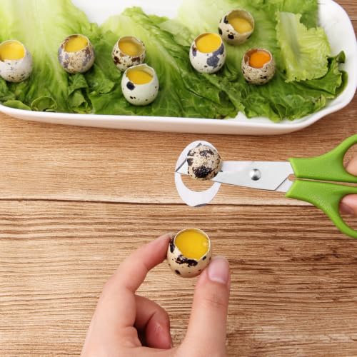 3Pcs Quail Egg Cutter Scissors Kitchen Egg Shears Tool (Green) - view 6