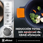 Braisogona EFFICIENT - Tall stew Pot with Glass lid and Silicon Handles, 28 cm - view 4