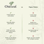 Chic Leaf Square Bamboo Palm Leaf Disposable Plates - 8" Pack of 100 - Biodegradable & Compostable Dinnerware - Disposable Party & Appetizer Plates - Eco-Friendly Dessert Trays