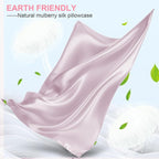 Mulberry Silk Pillow Cases 2 Pack Queen Size 20x30 Inches with Hidden Zipper, Ultra Smooth and Soft Breathable Cooling Silk Satin Pillowcase Set of 2, Better for Hair and Skin, Gifts for Women Men
