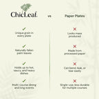 Chic Leaf Palm Leaf Disposable Bamboo Plates - Square Party Plates for Weddings, Parties, Event Appetizers - Biodegradable & Compostable - Party Supplies (8", 20 Pack)