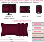 Mulberry Silk Pillow Cases 2 Pack Standard Size 20x26 Inches with Hidden Zipper, Ultra Smooth and Soft Breathable Cooling Silk Satin Pillowcase Set of 2, Better for Hair and Skin, Gifts for Women Men