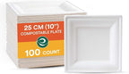 ECO SOUL Compostable Paper Plates 10 Inch (100 Count) Heavy Duty Disposable Dessert Plates, Eco-Friendly Sugarcane Bagasse Small Plates For Appetizer- White