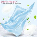 Mulberry Silk Pillow Cases 2 Pack Queen Size 20x30 Inches with Hidden Zipper, Ultra Smooth and Soft Breathable Cooling Silk Satin Pillowcase Set of 2, Better for Hair and Skin, Gifts for Women Men