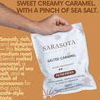 Ground Flavored Coffee In Filter Packs | Medium Roast Low Acid Mold Free Pouches | Sampler Packets | Salted Caramel Gourmet Powder Bags for 10-12 Cup Drip Maker | Highest Rated Individual Premeasured Coffee