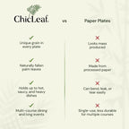 Chic Leaf Compostable & Biodegradable Palm Leaf Disposable Bamboo Plates - Disposable Party Plates for Appetizers - Camping Essentials - Reusable Party Supplies (10 & 7 Inch Square)
