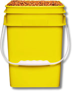 House Naturals 4 Gallon Square Food Grade Bucket Pail with Plastic Handles and Lid (Pack of 3) Made in USA containers (Yellow)