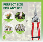 Garden Guru Straight Stainless Steel Pruner Pruning Shears Clippers Snips Sharp Bonsai Cutter Plant Trimming Scissor Straight Blade Garden Scissors Tool -Great for Roses Flowers Herbs Fruits (2 Pack)
