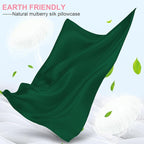 Mulberry Silk Pillow Cases 2 Pack Standard Size 20x26 Inches with Hidden Zipper, Ultra Smooth and Soft Breathable Cooling Silk Satin Pillowcase Set of 2, Better for Hair and Skin, Gifts for Women Men