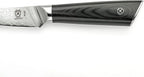 Mercer Culinary M13791 Premium Grade Super Steel, 3.5-Inch Paring Knife, G10 Handle