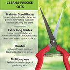 Garden Guru Straight Stainless Steel Pruner Pruning Shears Clippers Snips Sharp Bonsai Cutter Plant Trimming Scissor Straight Blade Garden Scissors Tool -Great for Roses Flowers Herbs Fruits (2 Pack)