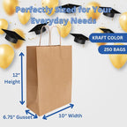 ASSUREPAK DIY Earth Friendly Paper Bags - 10"x6.75"x12" - 250 Bags - 90 GSM - Kraft/Natural - Gift Bags for Decorating & Graduation Parties