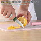 2 in 1 stainless steel Paring knife Peeler; fruit peeler; apple peeler; pear peeler, vegetable peeler, Kitchen Peeler (2, Green White)