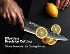 BRODARK Knife Set, Damascus Kitchen Knife Set with Block, 9 Pieces Sharp Professional Japanese Chef Knives with Ergonomic Full-Tang ABS Handle for Home, Restaurant -Christmas Gift, Dark Horse Series