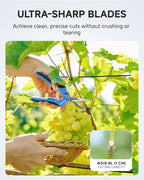 Fondwell 6.5" Gardening Scissors Trimming Shears: 2 Pack of Trimming Scissors for Buds - Comfortable Hand Pruners with Curved Blades