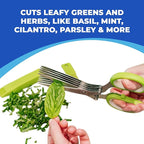 Jenaluca 5 Blade Herb Scissors - Cut & Chop Fresh Herbs & Leafy Greens - Salad Scissors - Stainless Steel Kitchen Shear Set with Cleaning Comb & Safety Cover - Kitchen Gadget - Green