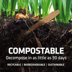 Disposable Wooden Cutlery Set - 100% Home Compostable - 2000 Forks, 6.5" Wooden Forks, Eco-Friendly, Organic, Sustainable and Carbon Neutral Certified