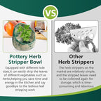 Pottery Herb Stripper Bowl, Handmade Ceramic Herb Peeling Bowl, for Separating Leaves and Stems (Green)