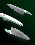 8 inch Chef Knife, Japanese VG-10 Damascus Steel Kitchen Knife, Ultra Sharp Cooking Knife with Full-tang Handle in Green Resin, LA-S9 Series