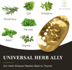 Brass Herb Stripper Bowl 7 Hole Sizes Shred & Catch Herbs & Greens 5.5 x 3.5 In. AH-STBS-2023
