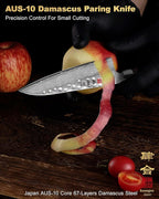 Japanese Paring Knife 5 Inch Petty Knives with 67 Layers Damascus Steel AUS-10 Core, Small Damascus Chef Knife with Full-Tang Ebony Wood Handle and Premium Gift Box (Hammered Damascus Series)