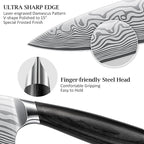 HOSHANHO 16-Piece Knife Set with Block, Ultra Sharp High Carbon Powder Steel Knife Block Set, Chef Knife Set Professional Kitchen Knives Set with Sharpener and Pakkawood Handle
