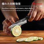 KEEMAKE Paring knife Japanese 4.5 inch Small Kitchen Knife, Japanese 440C Stainless Steel Sharp Fruit Knife with Octagonal Wood Handle Utility Knives