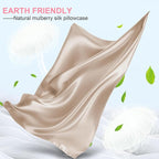 Mulberry Silk Pillow Cases Queen Size with Hidden Zipper, Ultra Smooth and Soft Breathable Cooling Silk Satin Pillowcase for Hair and Skin, Gifts for Women Men (Champagne, 20x30 Inches, 1 Pack)