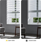 Persilux Zebra Blinds Cordless, Zebra Roller Shades for Windows (48" W x 72" H, White) Light Filtering Day and Night Window Drapes Sheer Shades for Home, Bedroom and Sliding Door Easy to Install