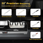 Professional 3-stage Electric Knife Sharpener for Kitchen Knives, with 100% Diamond Abrasive 20° Precision Angle Guide, Quickly Sharpening, Repairing/Restoring/Polish Blades (Silver)