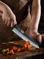 HOSHANHO 5 Pieces Knife Set, Japanese High Carbon Steel Kitchen Knife Sets, Professional Ultra Sharp Chef Knives Set with Ergonomic Rosewood Handle