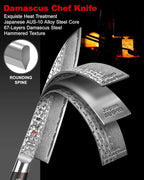 Japanese Paring Knife 5 Inch Petty Knives with 67 Layers Damascus Steel AUS-10 Core, Small Damascus Chef Knife with Full-Tang Ebony Wood Handle and Premium Gift Box (Hammered Damascus Series)