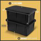 XX-Large Ice Block Mold for Cold Plunge Bath with Airtight Lid, Makes 12lb Large Ice Cubes