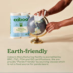 Caboo Tree Free Paper Towels, 6 Rolls, Eco Friendly, Earth Friendly, Sustainable Kitchen Paper Towels with Strong 2 Ply Sheets