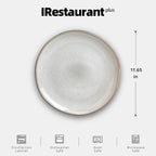 Organic Shape Restaurant Dinner Plates 11.65 ", Commerical Grade Catering Stoneware Plates in Ir-regular Organic Shape, Chip & Scratch Resistant, Glossy Reactive Glaze Grey, Case of 12