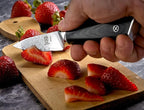 Mercer Culinary M13791 Premium Grade Super Steel, 3.5-Inch Paring Knife, G10 Handle