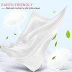 Mulberry Silk Pillow Cases 2 Pack Standard Size 20x26 Inches with Hidden Zipper, Ultra Smooth and Soft Breathable Cooling Silk Satin Pillowcase Set of 2, Better for Hair and Skin, Gifts for Women Men