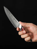 5 inch Utility Knife, Japanese VG-10 Damascus Steel Kitchen Knife, Ultra Sharp Fruit Knife with Full-tang Handle in Red Resin, LA-S9 Series