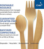 Disposable Wooden Cutlery Set - 100% Home Compostable - 100 Spoons 6.5", Bamboo Utensils Alternative, Eco-Friendly, Organic, Sustainable and Carbon Neutral Certified