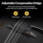 Donner A Style Mandolin Instrument Black Beginner Adult Acoustic Mandolin Musical Instrument Mahogany 8 String, Bundle With Tuner String Bag Guitar Picks, DML-100B