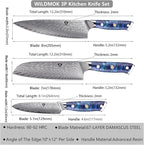 WILDMOK Kitchen Knife Set, 3 Piece Damascus Steel Professional Chef Knife Set with Ultra Sharp Blade & Resin Handle -Kitchen Knife Set 3 Pcs