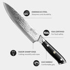 PAUDIN Damascus Chef Knife, 8 Inch Kitchen Knife, 67 Layers Damascus Steel Knife Japanese VG10 Core, Professional Chefs Knife with Ergonomic G10 Handle