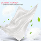 Mulberry Silk Pillow Cases 2 Pack Standard Size 20x26 Inches with Hidden Zipper, Ultra Smooth and Soft Breathable Cooling Silk Satin Pillowcase Set of 2, Better for Hair and Skin, Gifts for Women Men